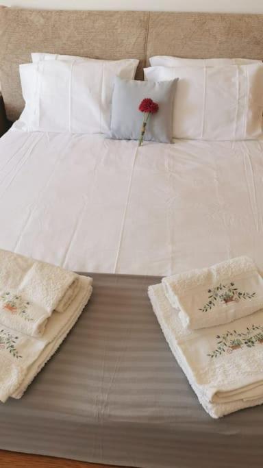 Amazing Lodge By The Ocean - Fully Equipped! Ericeira Esterno foto